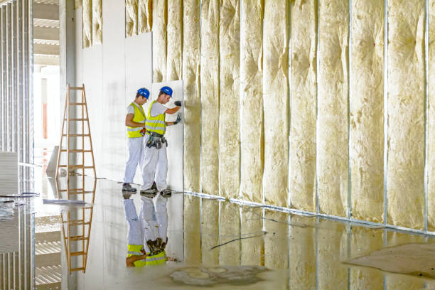 Eco-Friendly or Green Insulation Solutions in Jamestown, NC